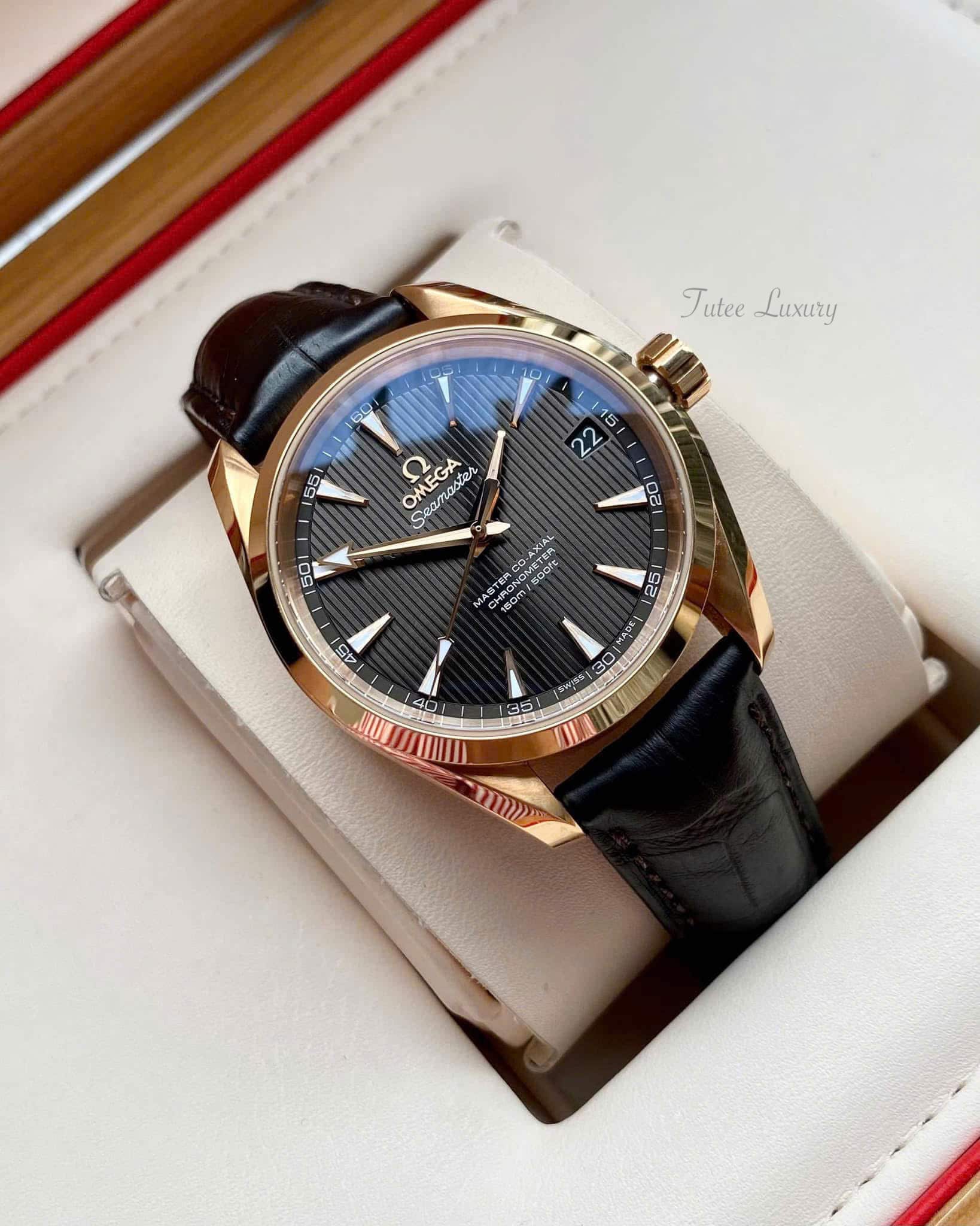 Omega Seamaster Aqua Terra 231.53.39.21.06.003 18K Watch 38.5mm