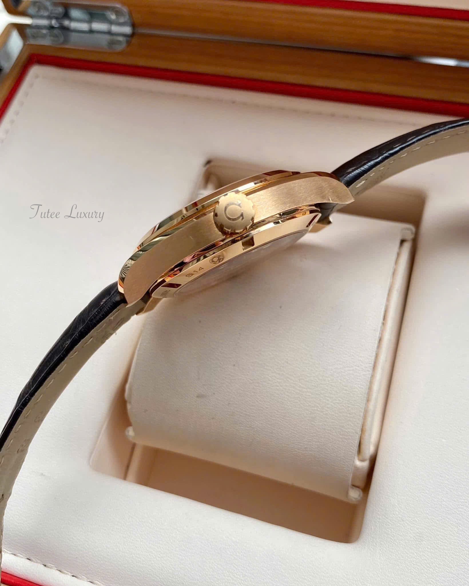 Omega Seamaster Aqua Terra 231.53.39.21.06.003 18K Watch 38.5mm