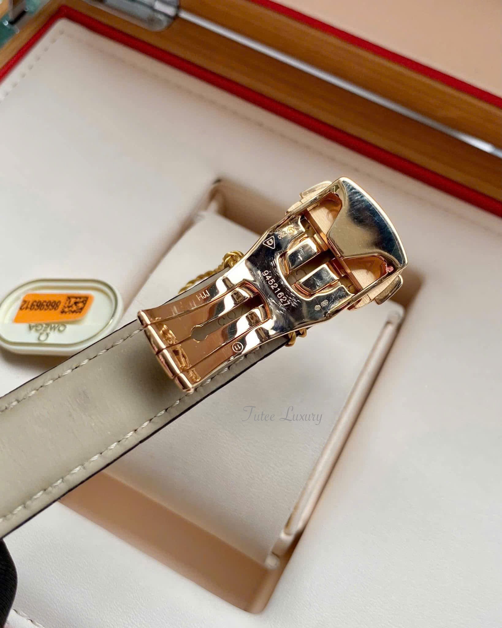 Omega Seamaster Aqua Terra 231.53.39.21.06.003 18K Watch 38.5mm
