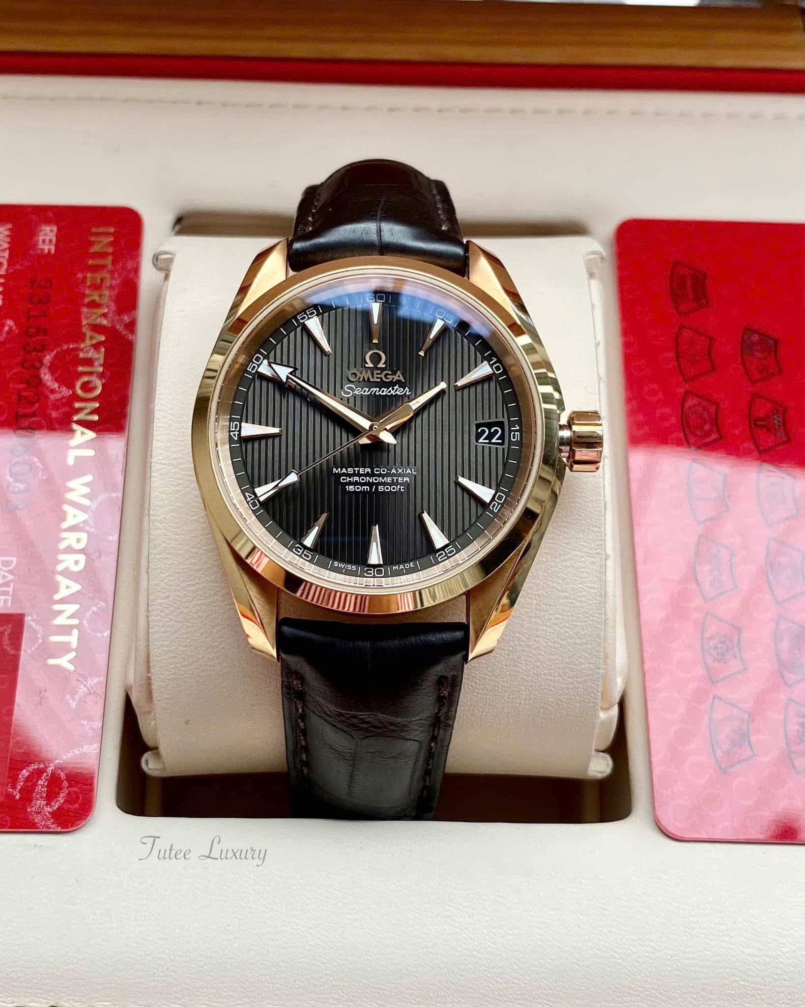 Omega Seamaster Aqua Terra 231.53.39.21.06.003 18K Watch 38.5mm