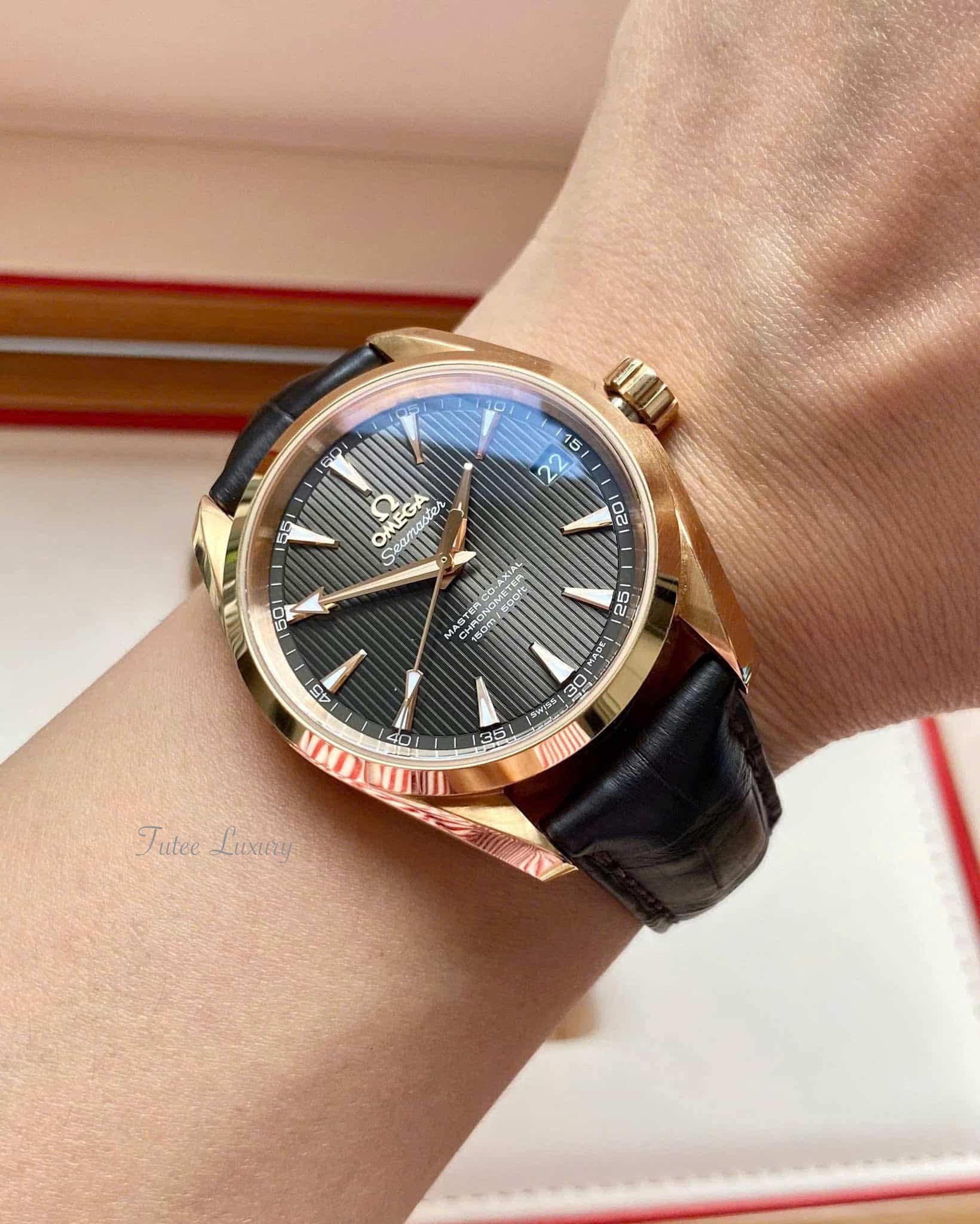Omega Seamaster Aqua Terra 231.53.39.21.06.003 18K Watch 38.5mm