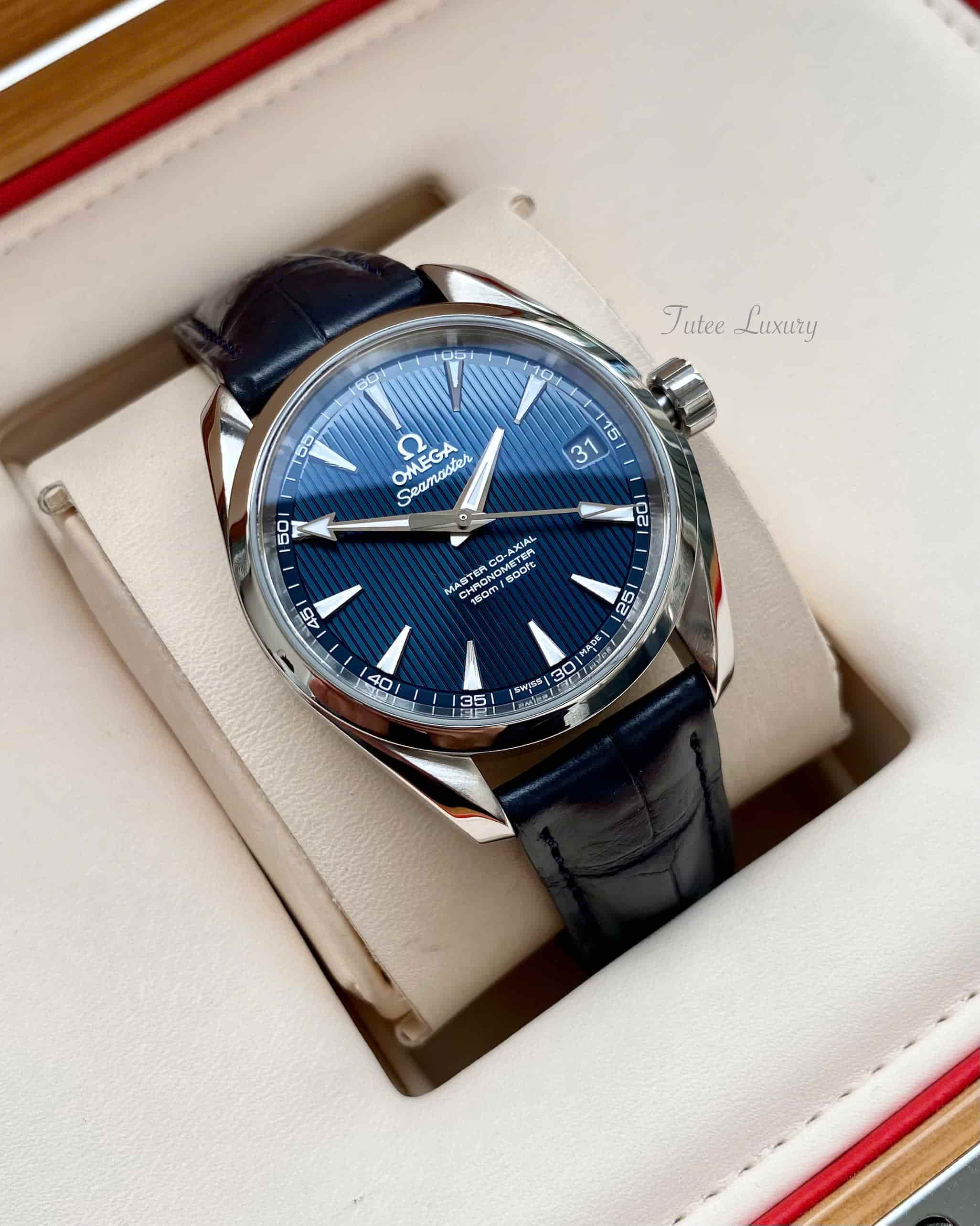 Omega Seamaster Aqua Terra Blue Dial 231.13.39.21.03.001