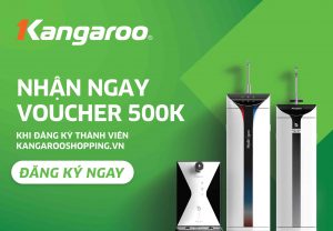 Tặng voucher 500K cùng triệu ưu đãi cho tài khoản đăng ký mới